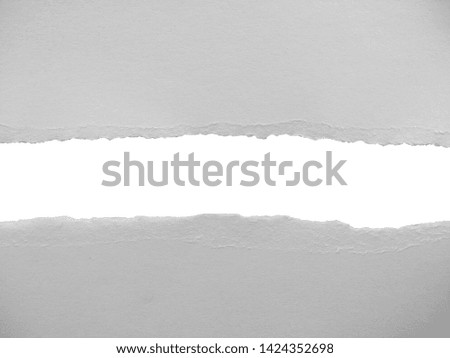 White torn paper texture for background. Torn paper isolated on white background.