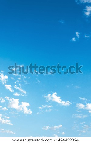 beautiful summer sky background. lots of white fluffy clouds on the blue sky. vivid nature background. calm and sunny weather