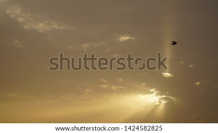morning sun rise with cloudy sky and birds