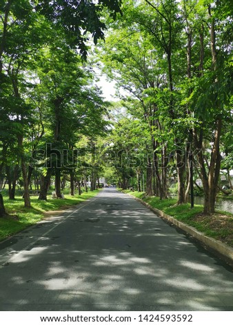 Road to canteen, Mahidol University Thailand