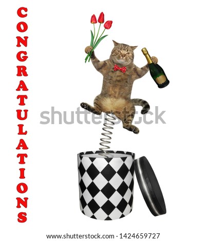 The cat with a bottle of champagne and bouquet of flowers is jumping out of the box. Congratulations. White background. Isolated.