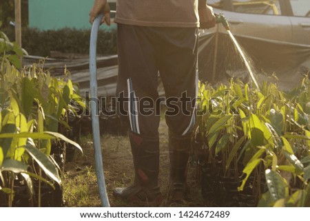 men with hoses to water plants and trees in the garden