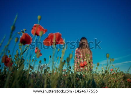  girl in poppy field. girl in summer. Young girl with long hair among the blossoming poppy field. concept of freedom and travel. Poppy buds. Gardening