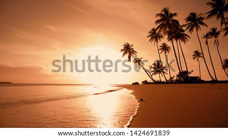 Yellow sunset at the beach. Palm trees sunset background. Waves, sky and yellow sun. Amazing island palms beach background. Punta Cana evening. The sun resort vacation. Japan nature sunset landscape Royalty-Free Stock Photo #1424691839