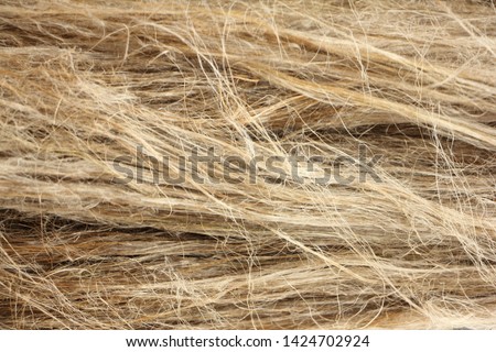 Horizontal dry flax fibers, production of linen fabrics - texture for the background Royalty-Free Stock Photo #1424702924