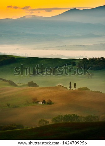 Amazing colorful sunset in Tuscany. Picturesque agrotourism and typical curved road with cypress, Crete Senesi rural landscape in Tuscany, Italy, Europe Royalty-Free Stock Photo #1424709956