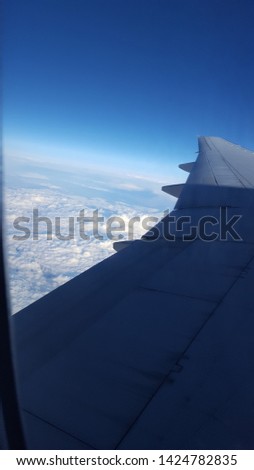 Flight picture in the sky
