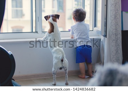 little boy and dog look out the window Royalty-Free Stock Photo #1424836682