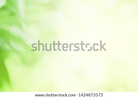 Green Background The appearance of soft leaves And with light shining through nature. suitable as a wallpaper 
Background presenter. pictures computer screen