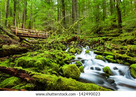Beautiful cascade waterfall in Sol Duc falls trail, Olympic national park, WA, US Royalty-Free Stock Photo #142490023