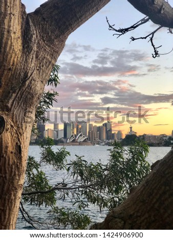 Sydney skyline view  from afar