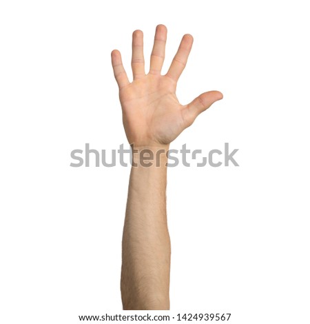 Adult man hand showing open palm gesture. Participation and voting sign. Human hand gesturing sign isolated on white background. Male raised arm presenting popular gesture.