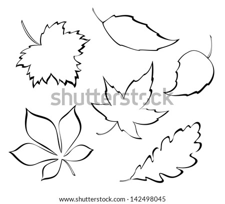 Vector falling leaves - stylized design elements