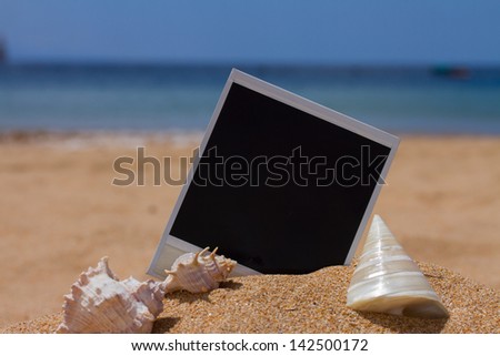 instant photo with seashels in sand on sea shore