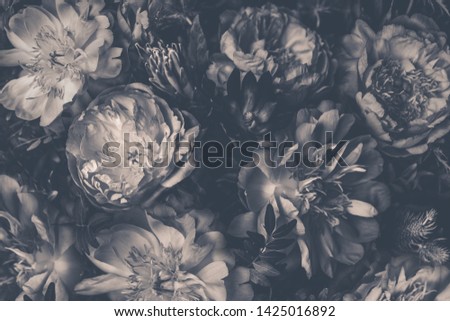 Vintage bouquet of beautiful peonies. Floristic decoration. Floral background. Black and white baroque old fashiones style image. Natural flowers pattern wallpaper or greeting card