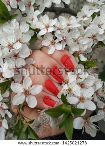 манікюр на руках на фоні цвітучого дерева, червоний лак на ногтях на фоті квітів черешні