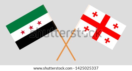 Georgia and Interim Government of Syria. Crossed Georgian and Coalition flags