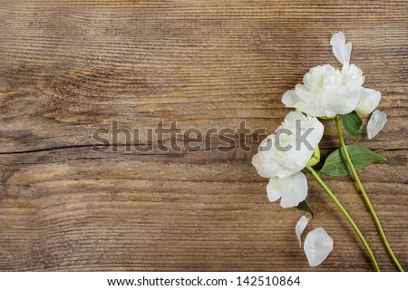 White peonies on wooden background. Copy space.
