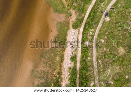 green seashore aerial drone shot
