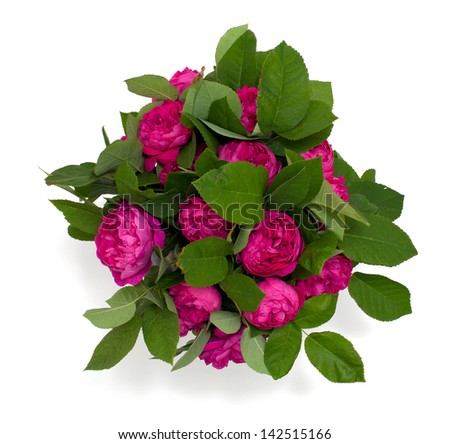 bunch of garden roses isolated on white