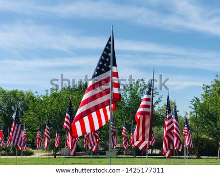 American flags waving at local celebration