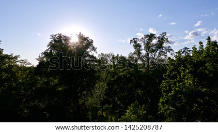 aerial shot of the beautiful, bright sun, just before sunset, right above the green tree line. The sun seems to be playing peek-a-boo behind the trees a little lower