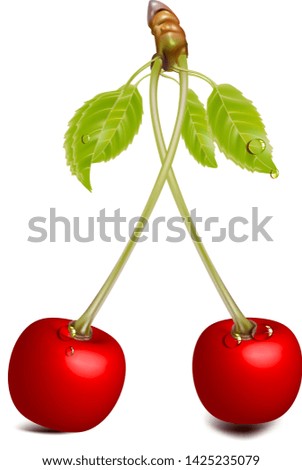 Cherries on a white background 