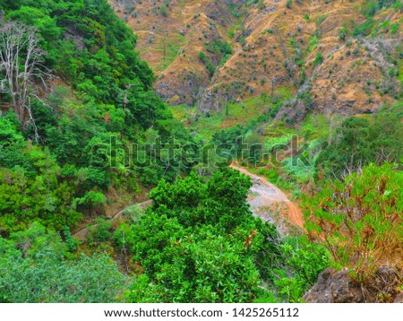 Green valley with trail. Vivid trees, plants and vegetation. Photography from hiking in the nature. Beautiful view on the forest and pathways.