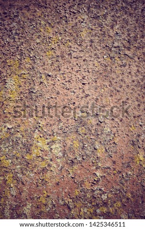 Picture of a rusty and mossy wall, color toned abstract background or texture.
