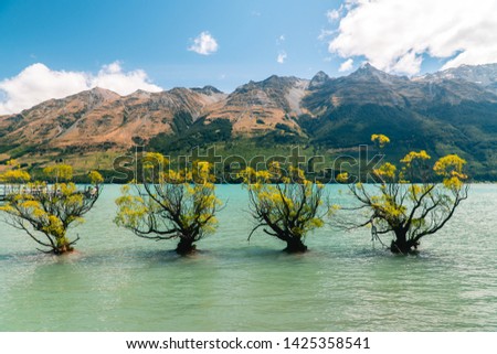 Row of Willow Trees, on lake in Glenorchy. Beautiful landscape, with blue lake, mountains and clear sky. Nature, travel, tourism, outdoor concepts. Shot in Queenstown, New Zealand, NZ
