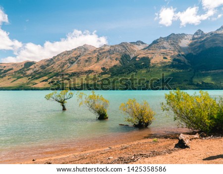 Row of Willow Trees, on lake in Glenorchy. Beautiful landscape, with blue lake, mountains and clear sky. Nature, travel, tourism, outdoor concepts. Shot in Queenstown, New Zealand