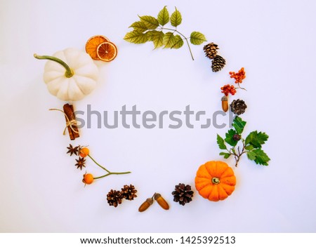 Wreath made of pumpkin, autumn berries, dried leaves, acorn, pine cones, anise staron pastel background. Autumn concept. Flat lay, top view, copy space. Toned image. Vintage style. Autumn background.