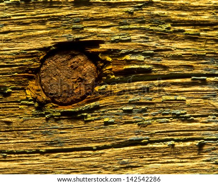 old nail in the wall background