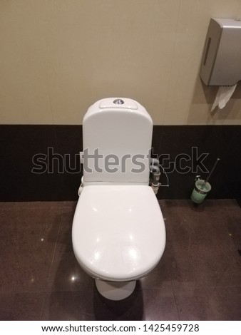 interior of the toilet room with a toilet, a brush and a paper holder