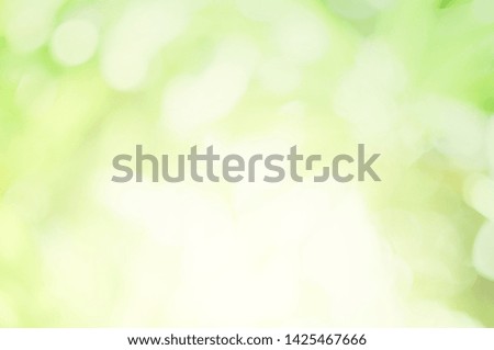 Green Background The appearance of soft leaves And with light shining through nature. suitable as a wallpaper Background presenter. pictures computer screen