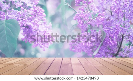 Delicate floral background lilac flowers on a bright sunny day. Blurred lilac floral background. Lilac flowers on wooden table background