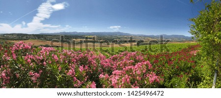 Panoramic view of Morosanto vineyard Royalty-Free Stock Photo #1425496472