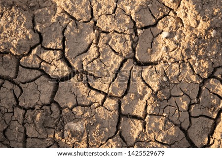 Dry cracked ground in UK agricultural field. Environmental Background.