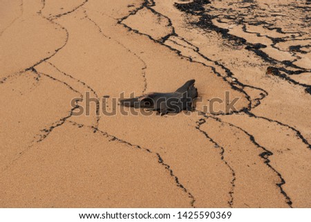 The cinder pictures on the sandy shore of Baikal