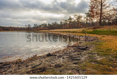 Low water level in a Dutch lake. After the prolonged drought in last summer, the water level has fallen sharply. Fallen branches are on the newly created bank. The photo was taken in the winter season