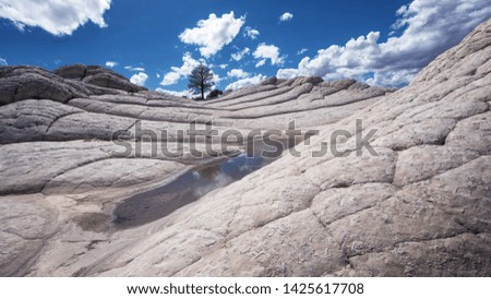 White Pocket, Rock formations in Vermilion Cliffs National Monument, Arizona
