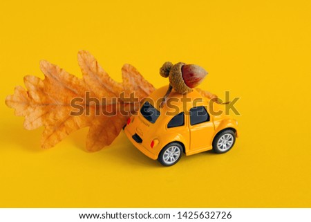 little toy yellow car with oak and dried autumn leaf isolated on yellow background