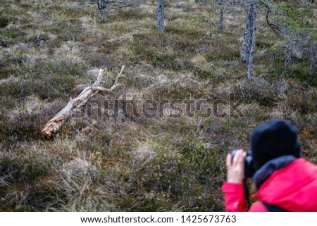 woman photographer taking pictures in nature. hobby