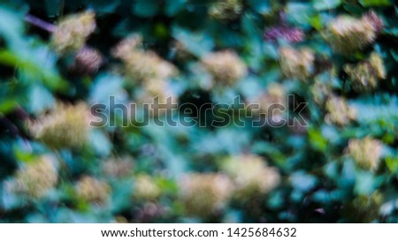 abstract natural background for presentation
