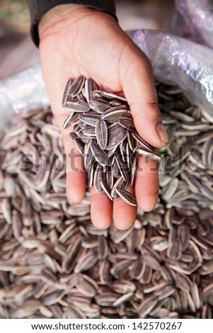 Dried Sunflower seeds on woman hand