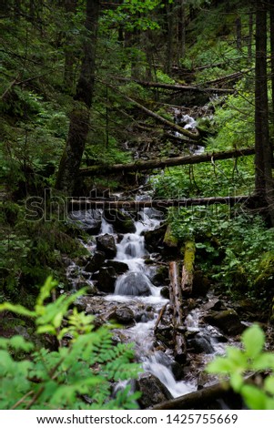 small waterfall in the valley of Koscielisko, Tatra Mountains, Poland
