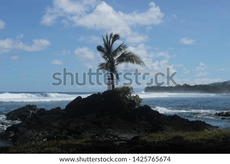 These pictures are capturing the  beauty of Samoa. Many beautiful beaches, incredibly calm nation and sunny weather makes you feel like you are in paradise.