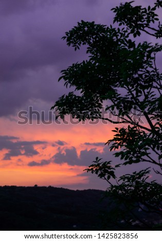 Silhouette of a tree at sunset Royalty-Free Stock Photo #1425823856