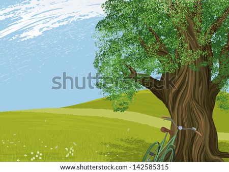 Vector Illustration of an old tree in a meadow. All objects are separated to layers.