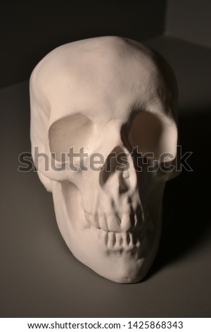 Fake Skull With Dramatic Lighting